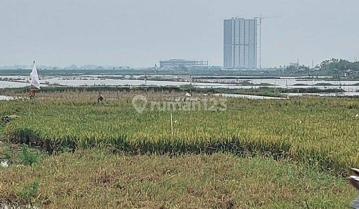Dijual Tanah di Kosambi, Tangerang SHM 983 m² Harga 8.5jt Per Meter 1