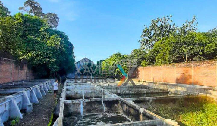 Dijual Cepat Lahan Di Kediri, Cocok Untuk Pabrik, Perumahan Dll