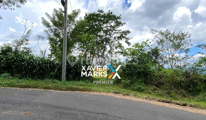 Dijual Cepat Tanah Murah di Desa Toyomarto Singosari Malang