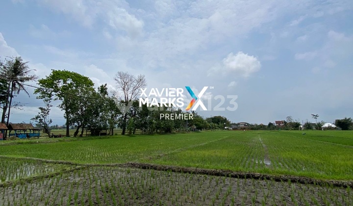 Dijual Tanah Lahan Pertanian Sawah Lokasi di Mangunrejo, Kepanjen Dijual Tanah Lahan Pertanian Sawah Lokasi di Mangunrejo, Kepanjen