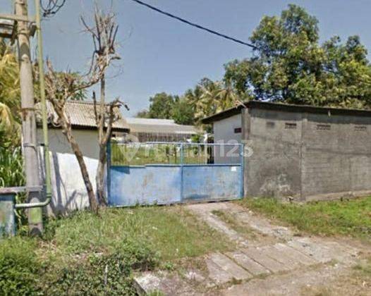 Large Land + Warehouse in Jalan Pantai Rening, Baluk, Negara, For Sale