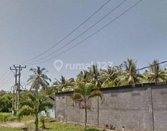 Large Land + Warehouse in Jalan Pantai Rening, Baluk, Negara, For Sale 2