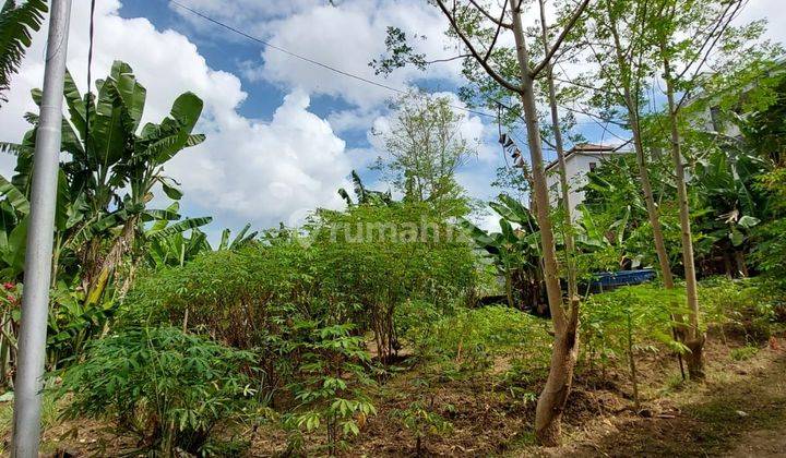 Umalas Land - Kerobokan Villa Environment for Sale 1