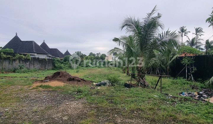 Tanah Shm 31,3 Are Pangkung Sari, Kerobokan, Badung Dijual