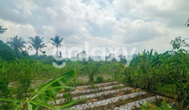 Tanah Raya Payangan Ubud Gianyar, Bali Tanah Raya Payangan Ubud Gianyar, Bali