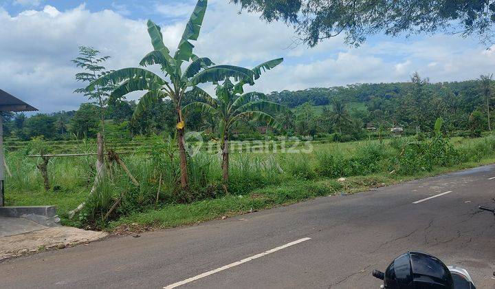 Dijual tanah sawah pinggir jalan 2