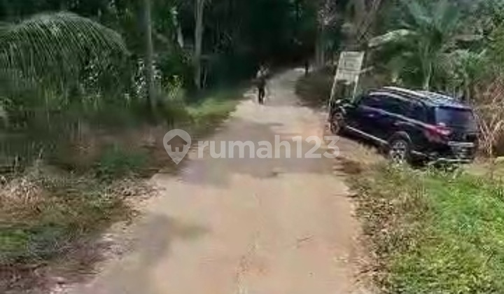 J2058-606 Tanah 23000 M2 Jalan Aspal View Adem Asri Shm Di Sukamakmur Jonggol Bogor J2058-606 Tanah 23000 M2 Jalan Aspal View Adem Asri Shm Di Sukamakmur Jonggol Bogor