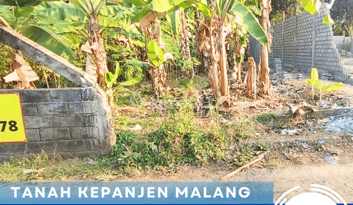 Tanah Dijual Murah Di Curungrejo Kepanjen Pakisaji, Malang 1