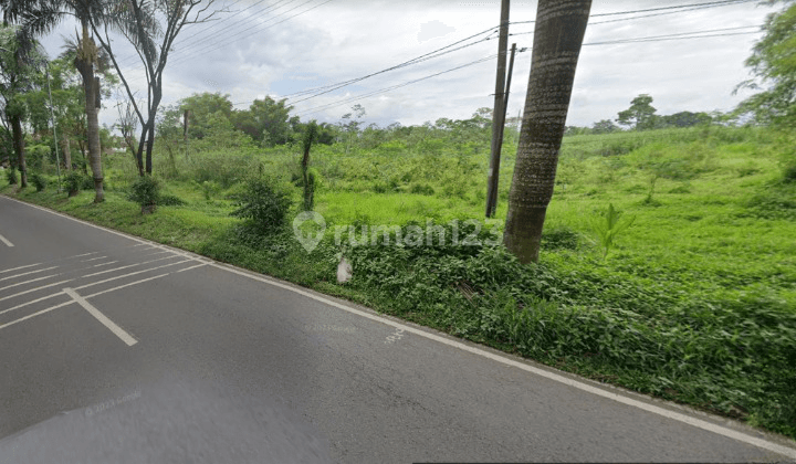 Tanah di Dekat Exit Tol Pakis, Akses Kontainer 40 Ft, Malang 1