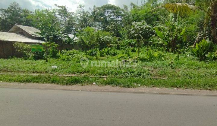 Tanah SHM di Pakisaji Malang Dekat Jalan Poros Luas 1188 M2 2