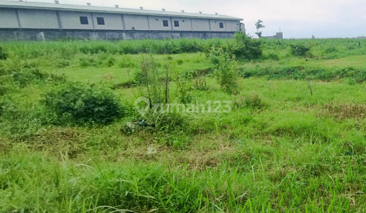 Tanah Luas 2731 M2 Dekat Exit Tol Pakis Mlg Akses Truk Wingbox 2