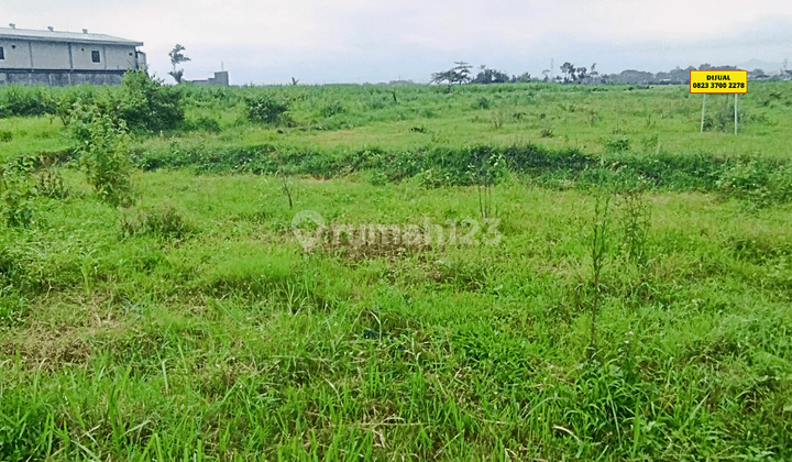 Tanah di Pakis Dekat Exit Tol Luas 4900 M2, Malang 1