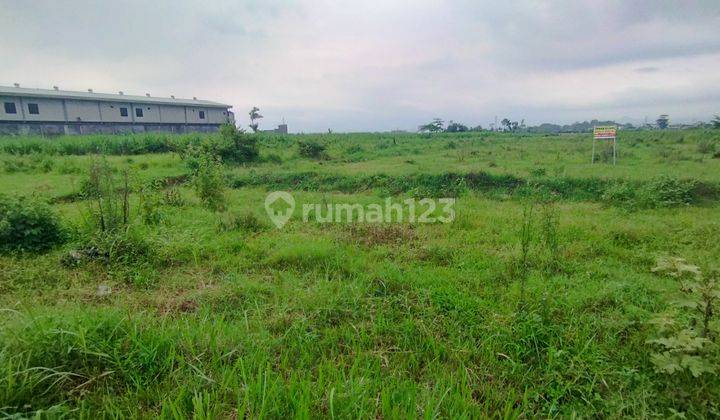 Tanah di Pakis Dekat Exit Tol Luas 4900 M2, Malang 2