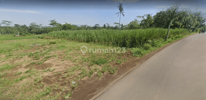 Tanah Murah Di Gondanglegi Timur, Malang Luas 3.500 M² 2