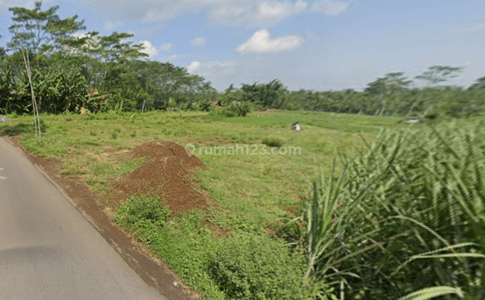 Tanah 3500 M2 Shmdi Gondanglegi Malang Akses Mobil Simpangan 1