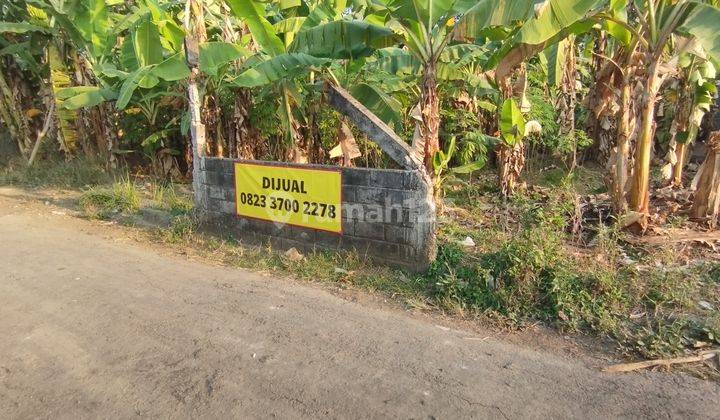 Tanah Dijual Murah Di Curungrejo Kepanjen Pakisaji, Malang 2