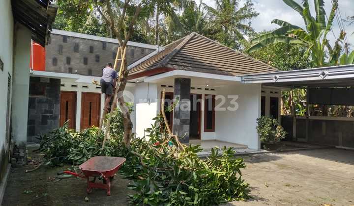 Jual Cepat Rumah 1 Lantai Luas 245M SHM 2