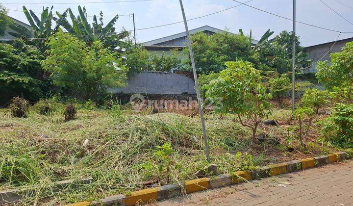 Dijual Kavling Siap Bangun Di Dalam Cluster Di Cileungsi Hijau 2