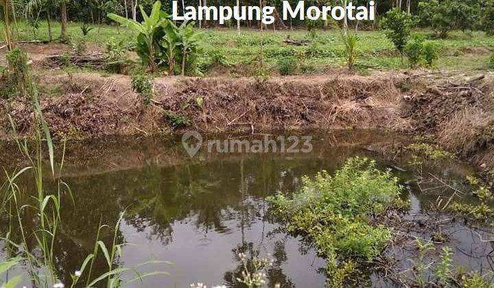 Tanah Murah Siap Bangun Didaerah Kawasan Industri Lampung Selatan 2