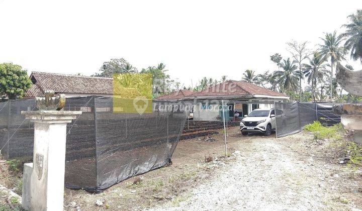 Tanah bonus Bangunan Rumah jalur lintas  Barat Sumatera  Pringsewu 2