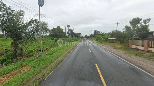 Tanah Pinggir Jl. Lintas Sumatera Kalianda Lampung Selatan 1