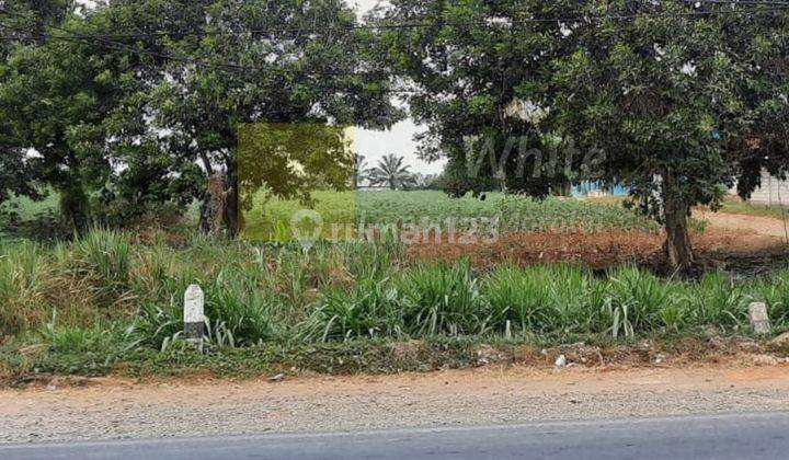 Tanah Komersial jl. lintas terbanggi Lampung Tengah 2