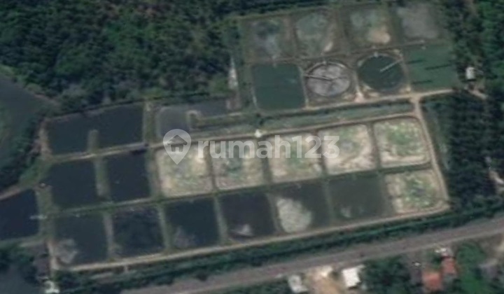 Dijual Cepat Tanah Tambak Kalianda