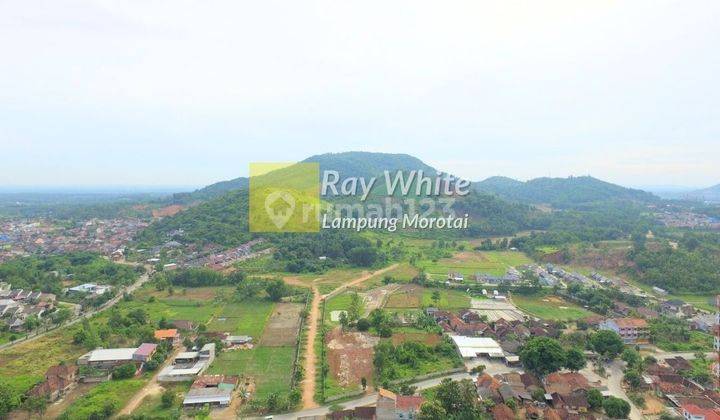 Dijual tanah Sukabumi Bandar Lampung RP. 1,3 Juta/meter Nego 2