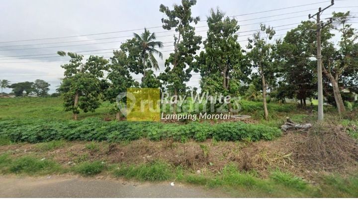 dijual tanah terbanggi besar lampung tengah 2