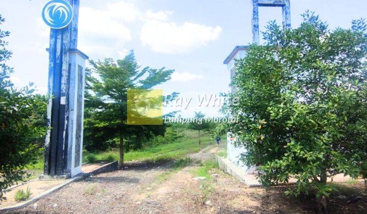 Dijual Tanahbonus bangunan kalianda lampung selatan 2