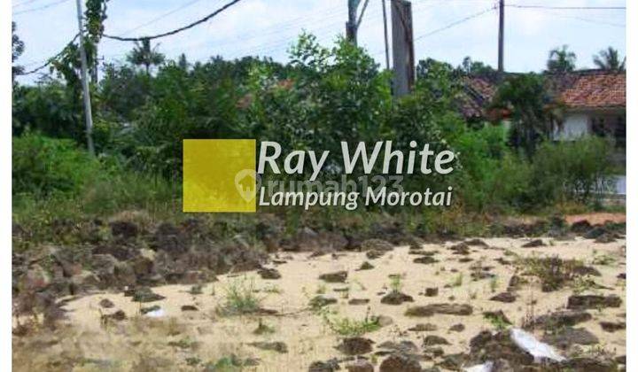 Dijual tanah pinggir jalan By Pass Tulang Bawang 2