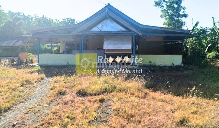 Dijual Tanahbonus bangunan kalianda lampung selatan 1