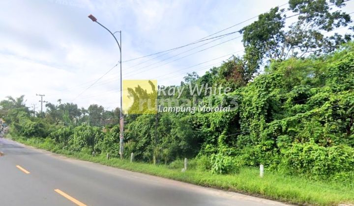 Dijual tanah Jl. Lintas Sumatera Bandar Jaya Lampung Tengah