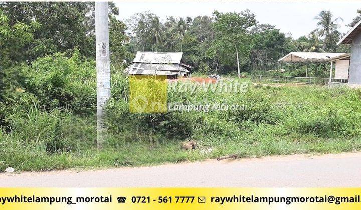 dijual tanah pinggir jalan jati agung lampung selatan 2