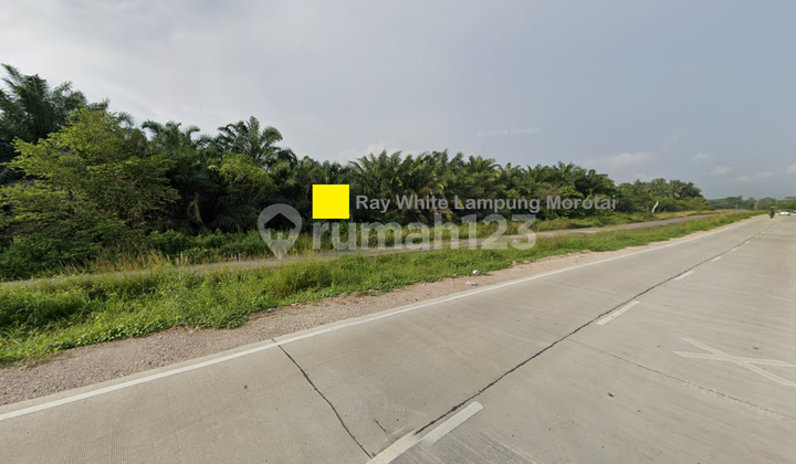 Dijual tanah dekat Tol Kota Baru Jl. Terusan Ryacudu Lampung Selatan Rp. 1,5 Juta/Meter Nego 