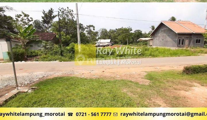 dijual tanah pinggir jalan jati agung lampung selatan 1