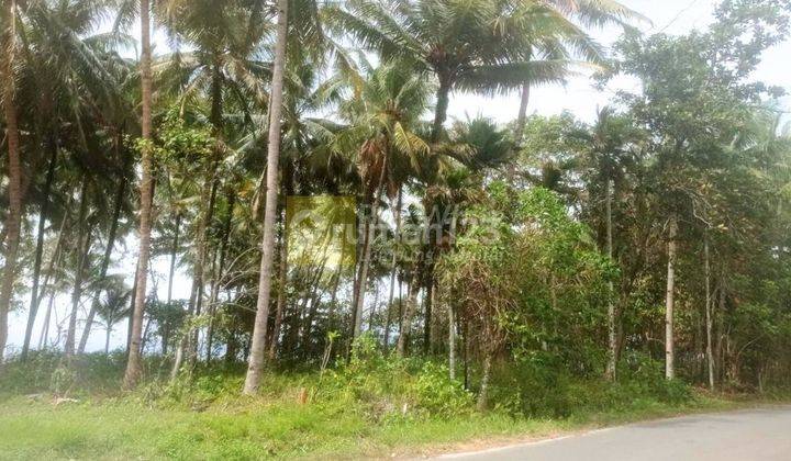 Dijual Tanah Tepi Pantai Krui Pesisir Barat 2