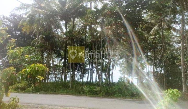 Dijual Tanah Tepi Pantai Krui Pesisir Barat 1