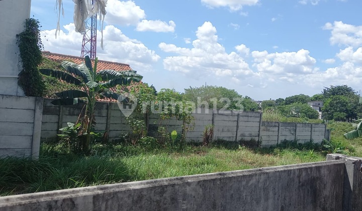 Tanah Matang, Rawa Buntu