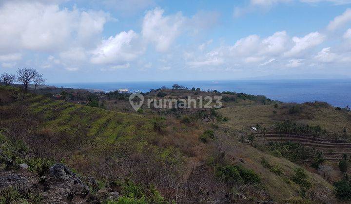 Tanah Cocok Untuk Restoran Di Nusa Penida PS0210 1