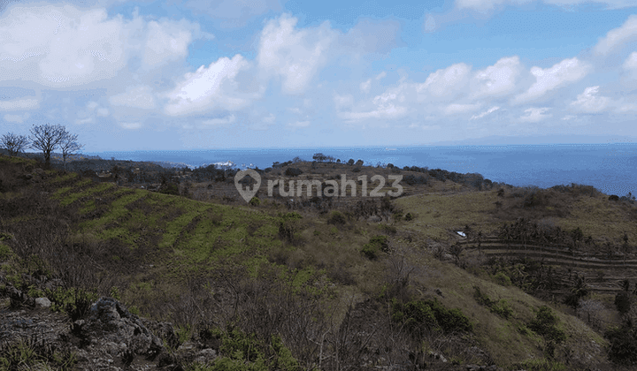 Large Plot of Land Suitable for Building a Resort in Nusa Penida PS0209 2