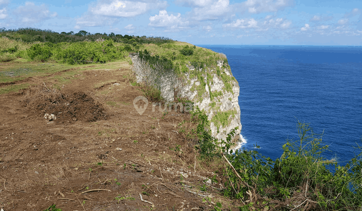 Tanah Kavling Cocok Untuk Usaha Di Nusa Penida PS0205 2