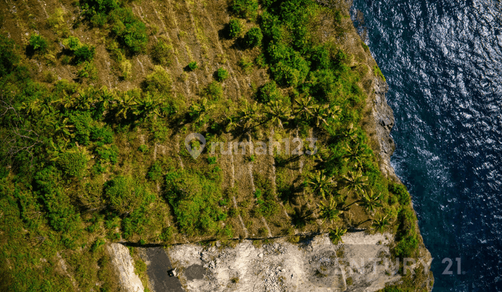 Tanah Luas Cocok Untuk Usaha View Laut Di Nusa Penida PS0202 2