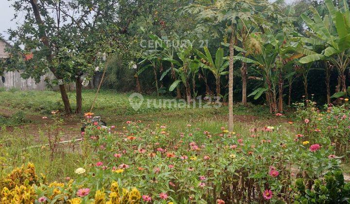 Rumah Dengan Kolam Renang Di Bojong Jengkol Ciampea S8007 2