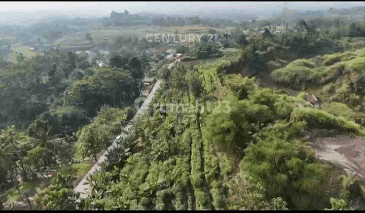 Tanah Luas Cocok Untuk Resort Di Cilaku NS0003 2