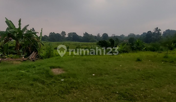 Tanah Murah 2,45 Ha Strategis Pinggir Jalan Puspitek Bsd Tangerang Selatan
