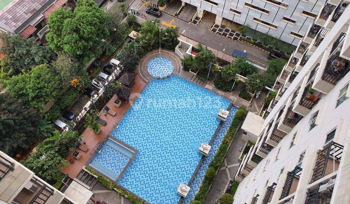 Sewa Apartemen Signature Park Tebet Studio Fully Furnished Kolam 2