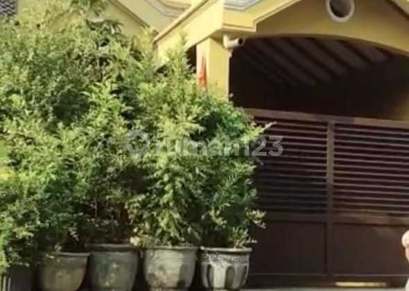 Jual Rumah Murah Di Lakarsantri Surabaya Dekat Citra Land (perum) Jual Rumah Murah Di Lakarsantri Surabaya Dekat Citra Land (perum)