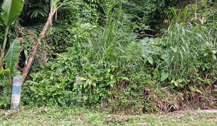 Tanah Shm Di Donokerto Turi Dekat Sungai Dekat Fasum 1