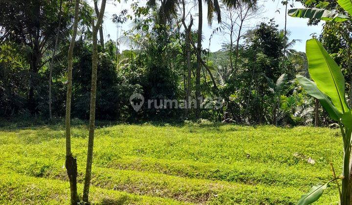 Tanah MURAH SHMP diWonokerto Turi view merapi, ada sungai kecil 1